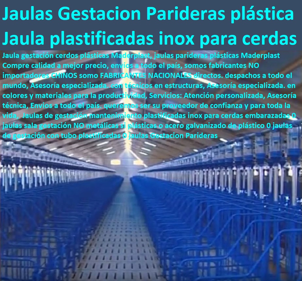 Jaulas de gestación mantenimiento plastificadas inox para cerdas embarazadas 0 jaulas sala gestación NO metálicas si plásticas o acero galvanizado de plástico 0 jaulas de gestación con tubo plastificadas 0 jaulas Gestacion Parideras Jaulas de gestación mantenimiento plastificadas inox para cerdas embarazadas 0 jaulas sala gestación NO metálicas si plásticas o acero galvanizado de plástico 0 jaulas de gestación con tubo plastificadas 0 jaulas Gestacion Parideras porcicultura jaulas, corrales, parideras, porcinas corral, gestación cerdas, parto cerda, lechonera, destete, jaula pre ceba porcinos, corraleja, ceba, engorde cerdos, porqueriza cría de lechones, pisos jaulas comederos, 